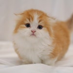 민둥☁︎(@89xx80)의 프로필 | 스푼 Spoon