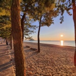 스푼 | 팝송 검색 결과