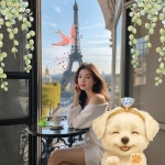 스푼 캐스트 | DJ SoL님의 야생화 - 박효신 (쌩라이브)