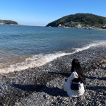 🔹Two_re ℃ᴺ의 프로필 | 스푼 Spoon