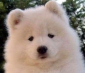 스푼 | fm 검색 결과