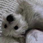 스푼 캐스트 | DJ 선하루 ❤︎ ༘ ໊님의 To. 🌟 스푼 캐스트 | DJ 선하루   ❤︎ ༘ ໊님의 To. 🌟