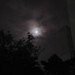 뱅두부(@44xyl0)의 프로필 | 스푼 Spoon