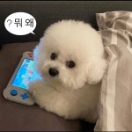 현우(@gusdn2098)의 프로필 | 스푼 Spoon
