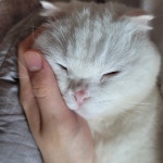 써니사이드업(@sunnysideup01)의 프로필 | 스푼 Spoon