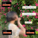 DJ † 🐥 진 주 아 💛의 스푼 CAST | 스푼 Spoon