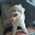 하양🕊(@p3r2yx) | Spoon