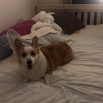 🥔(@l00q7q) | Spoon