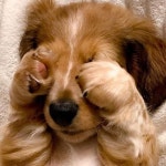 스푼 | 해미 검색 결과