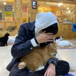 스푼 | 디어 검색 결과