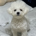 스푼 | 갈비 검색 결과