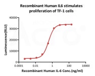 IL-6 및 IL-6 수용체 단백질 | 연구용제품 > Bio마켓 | BRIC