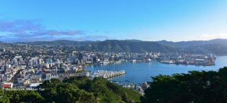[예술 그리고 도시] 웰링턴 – 대한항공 뉴스룸