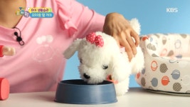 [꼬야랑 할 거야] 강아지 보살피기 - 3. - 곰TV