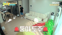 둥이, 새 하우스에 오자마자 사고치다! - 곰TV