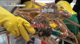 온통 게판! 영덕 대게 거리, MBC 230216 방송 - 곰TV