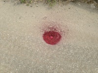 지적기준점 찾기 - 생활정보