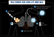 식품의약품안전처,국내 개발 코로나19 백신 임상시험 승인.....에스케이바이오사이언스(주):경인투데이뉴스 ≪경인투데이뉴스... 