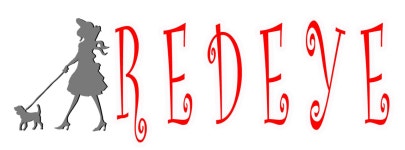 주)레드아이 채용 기업정보 보기 | 인크루트