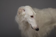 ThisNickIsNotMy’s Music Profile | Last.fm
