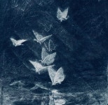 avuuh’s Music Profile | Last.fm