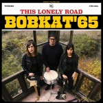 Try — BOBKAT65 | Last.fm Try — BOBKAT&#39;65 | Last.fm