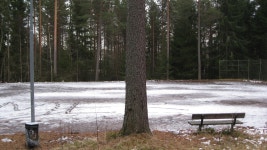 Profilo musicale di Baylib | Last.fm