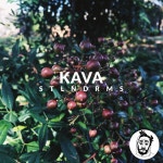 Kava — STLNDRMS | Last.fm