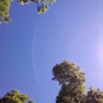 Syrup — Dweeb | Last.fm