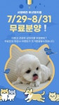 네이버 플레이스 시원애견 부산명지점 : 네이버