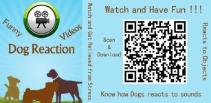 Dog Reaction Videos - Latest version for Android - Download APK