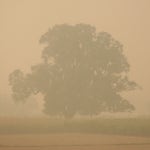 체포하려면 해! 머스크, 테슬라 캘리포니아주 공장 재가동 부터 뉴스핌 체포하려면 해! 머스크, 테슬라 캘리포니아주 공장 재가동