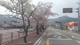고려주유소, 남해군 — 대한민국 경상남도 남해군 상주면 상주리 1217-1, 전화 055-862-6015 고려주유소, 남해군 —  대한민국... 