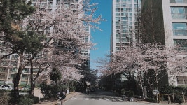 동부올림픽타운아파트, 부산광역시 — 대한민국 부산광역시... 동부올림픽타운아파트, 부산광역시 —  대한민국 부산광역시... 