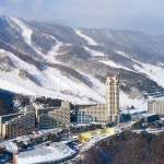 휘닉스 스노우 파크 - Google 지도 휘닉스 스노우 파크 · 강원특별자치도 평창군 봉평면 태기로 174
