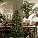 인주카페 필드점 - Google 지도 인주카페 필드점 · 충청남도 아산시 배방읍 회룡리 160-1