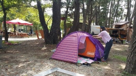 그린로즈펜션, Pohang-si — South Korea Gyeongsangbuk-do Pohang-si 북구 흥해읍 금장리 31, phone 054-262-7878 그린로즈펜션... 