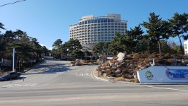 마레몬스호텔, Sokcho-si — South Korea Gangwon-do Sokcho-si 대포동 동해대로 3705, phone 033-630-7000 마레몬스호텔, Sokcho... 