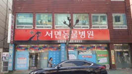 서면동물병원, 부산광역시 — 대한민국 부산광역시 부산진구 부전동 466-19, 전화 051-809-8092 서면동물병원, 부산광역시... 