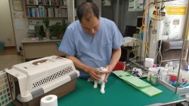 구포동물병원, 부산광역시 — 대한민국 부산광역시 북구 구포2동 1071-21, 전화 051-331-3236 구포동물병원, 부산광역시 —  대한민국... 
