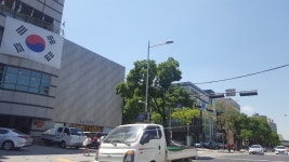 신사동 압구정로 126, उघडणे तास MANGO, Seoul... Seoul 강남구 신사동 압구정로 126, उघडणे तास