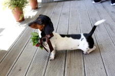라비앙로즈, 대구광역시 — 대한민국 대구광역시 수성구 수성4가동 달구벌대로 2315, 수성 롯데 캐슬 상가 113 호 라 비앙 로즈, 전화 010... 