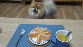 와사비횟집, 원주시 — 대한민국 강원도 원주시 단구동 단구로... 대한민국 강원도 원주시 단구동 단구로 354-27, 전화 033-761-2322