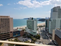 해운대 엘시티 강남 부동산, 부산광역시 — 대한민국 부산광역시 중1동 부산광역시 해운대구 해변로 310 엘시티 강남 부동산 해운대구... 