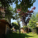 치악산한증막 - Google 지도 치악산한증막 · 강원특별자치도 원주시 행구동 웃거름터길 8-12 KR