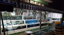 동부회센타, 창원시 진해구 — 대한민국 경상남도 창원시 창원시 진해구 자은동 870-4, 전화 055-541-0982, 개방 시간 동부회센타, 창원시... 