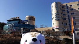 동국대학교경주병원, 경주시 — 대한민국 경상북도 경주시 석장동 1090-1, 전화 054-748-9300, 개방 시간 동국대학교경주병원, 경주시... 
