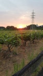 맘스터치(경산점), 경산시 — 대한민국 경상북도 경산시 진량읍 선화리 1089, 전화 053-857-9665 맘스터치(경산점), 경산시 —  대한민국... 