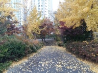 군산의료원, 군산시 — 대한민국 전라북도 군산시 수송동 의료원로 27, 전화 063-472-5000 군산의료원, 군산시 —  대한민국 전라북도... 