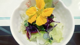 일신초밥, 부산광역시 — 대한민국 부산광역시 동래구 명륜1동... 051-553-0303 일신초밥, 부산광역시 —  대한민국 부산광역시... 